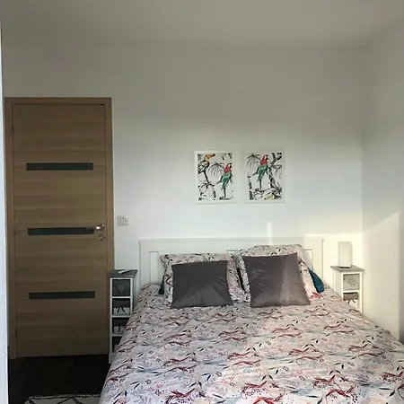 住宿加早餐酒店 Le Rooftop Des Moulineaux- Paris Expos Porte De Versailles 伊西莱穆利诺